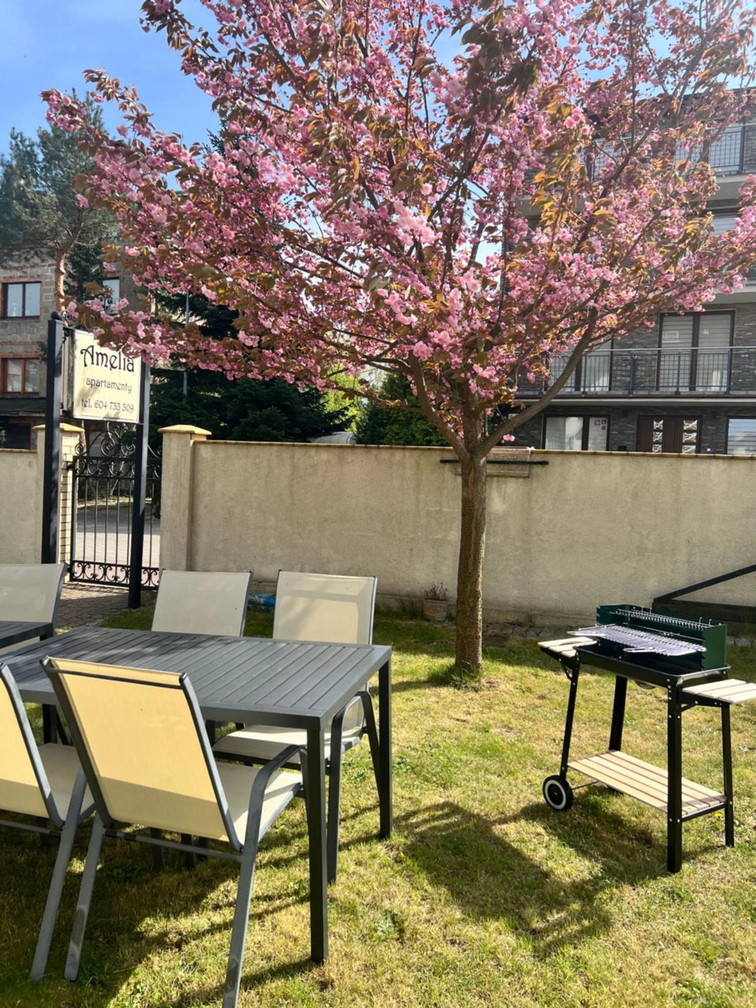 Amelia Apartamenty - Sala Zabaw, 2 Sypialnie, Garaz Podziemny Władysławowo Dış mekan fotoğraf